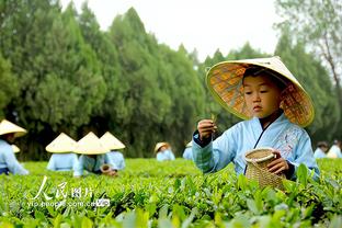 霍勒迪：当我们获得空间时是一支很强悍的球队 球队火力十足